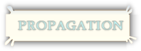 Propagation
