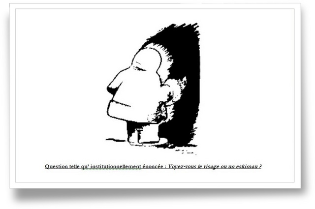 Cliquez pour agrandir l'image Cliquez pour agrandir l'image